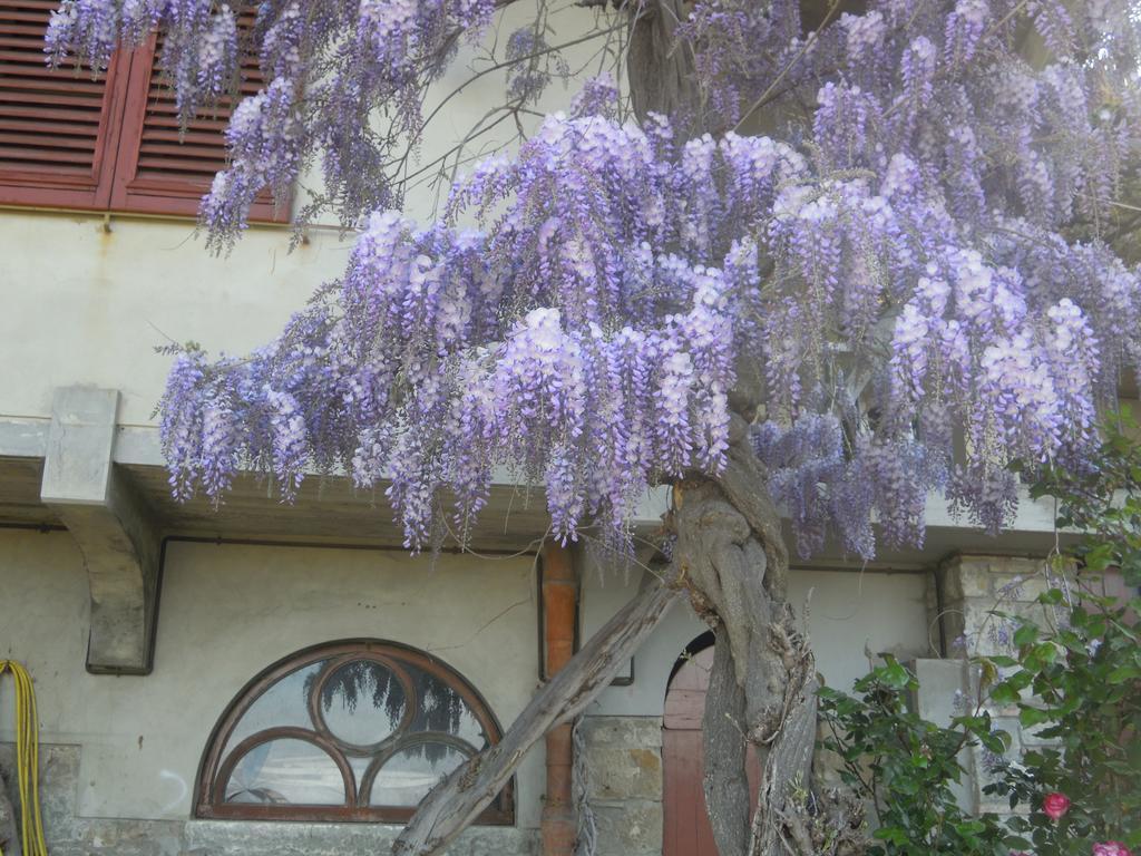 Bel Panorama Tre Guest House Pelago Екстериор снимка
