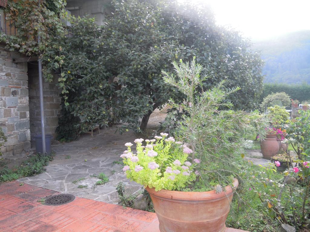 Bel Panorama Tre Guest House Pelago Екстериор снимка